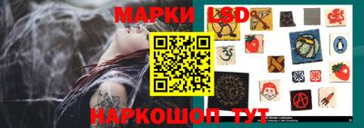 наркотики Сланцы