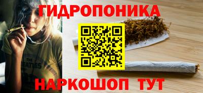 spice Славгород
