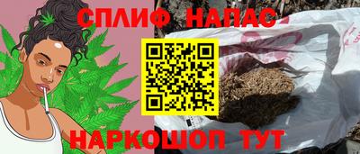 наркотики Сланцы