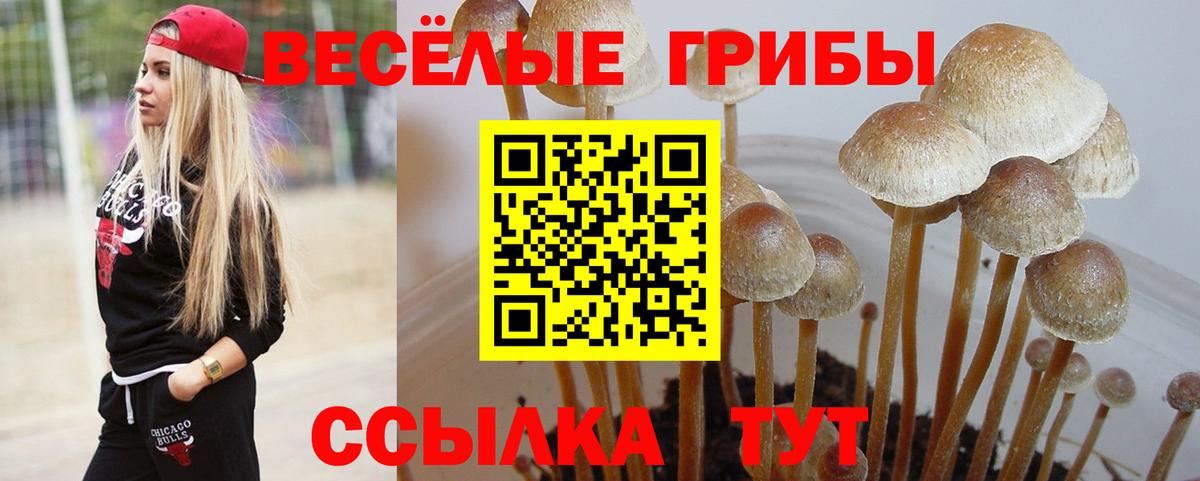 Псилоцибиновые грибы ЛСД Первоуральск